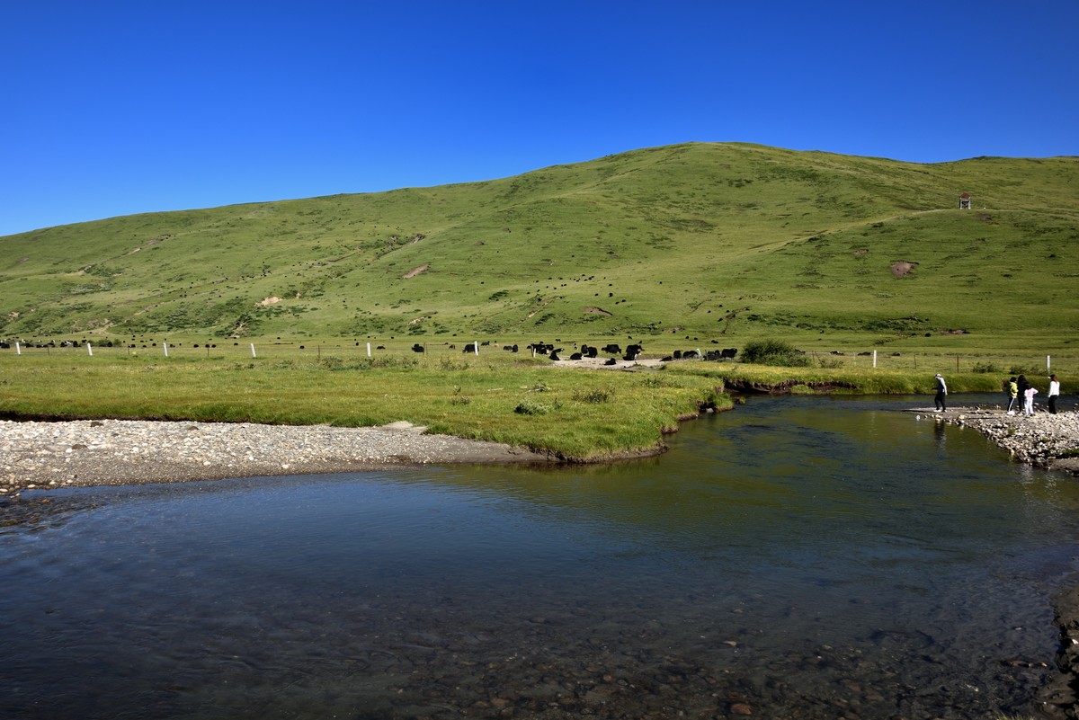 仲夏川北行——俄么塘花海景区【3】