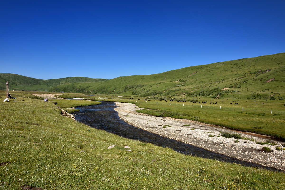 仲夏川北行——俄么塘花海景区【3】