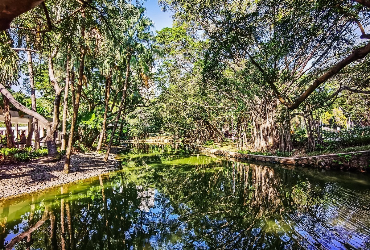 深圳人民公园掠影