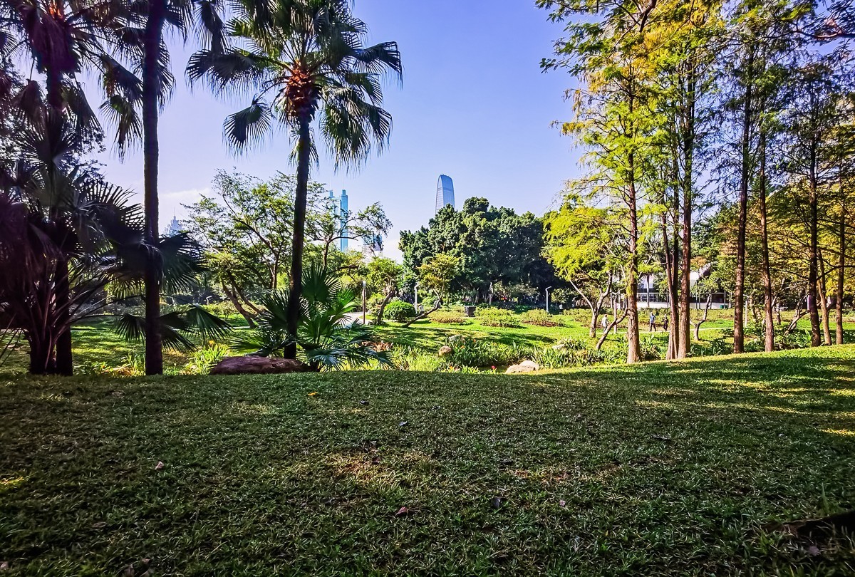 深圳人民公园掠影