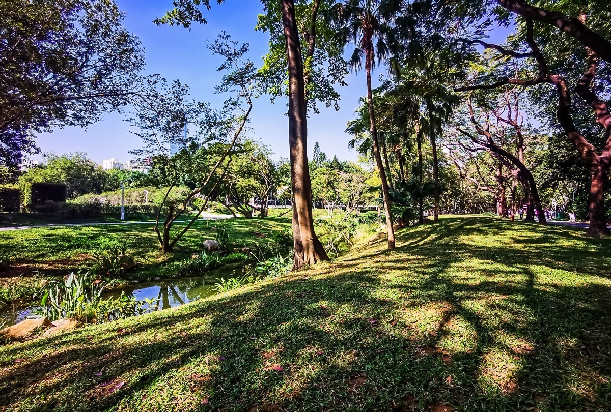 深圳人民公园掠影