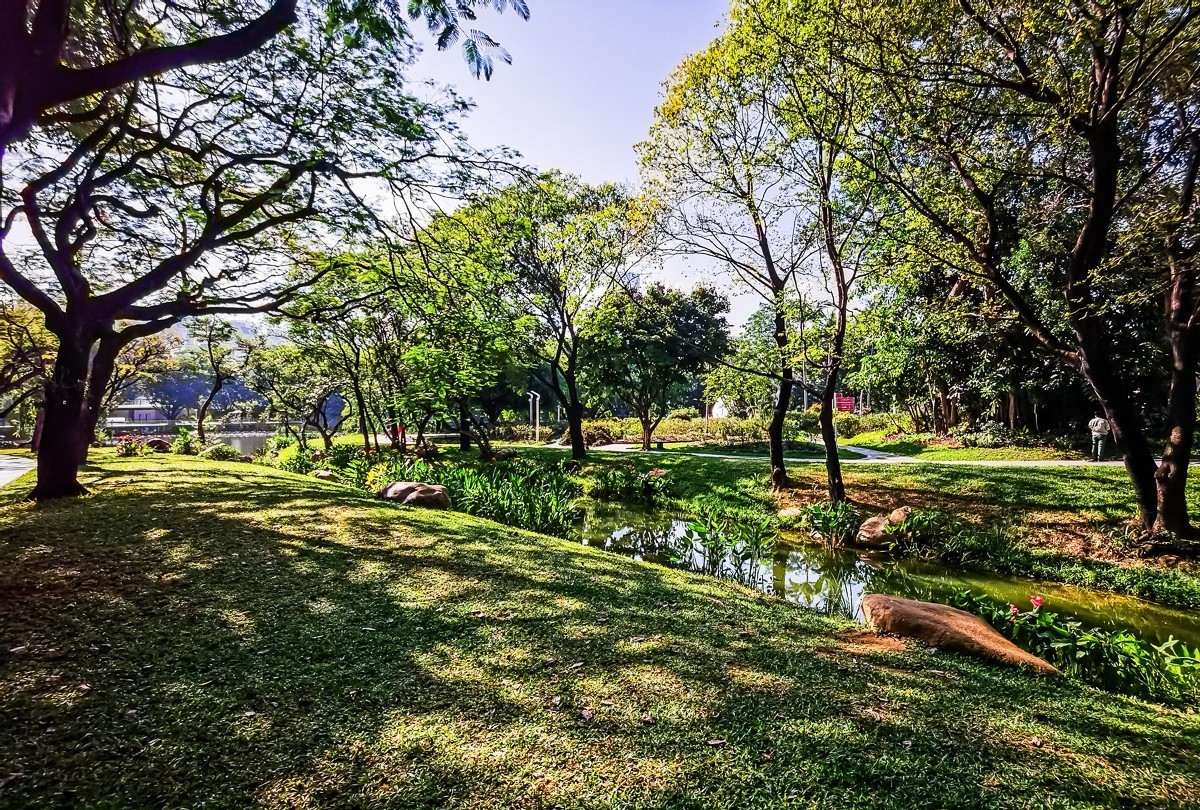 深圳人民公园掠影