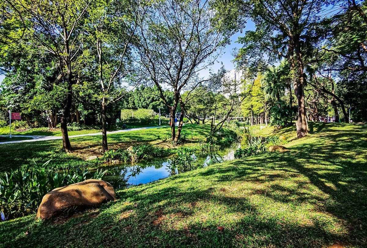 深圳人民公园掠影