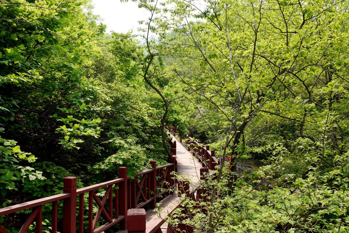 游拍庄河云盘谷