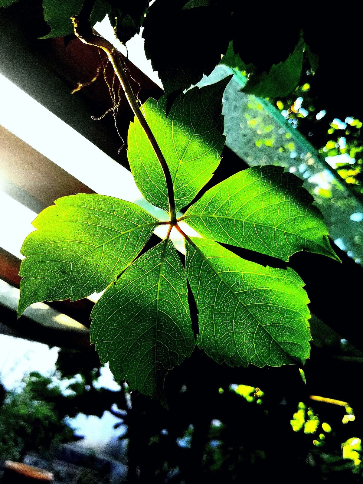 旅行光影随拍.......