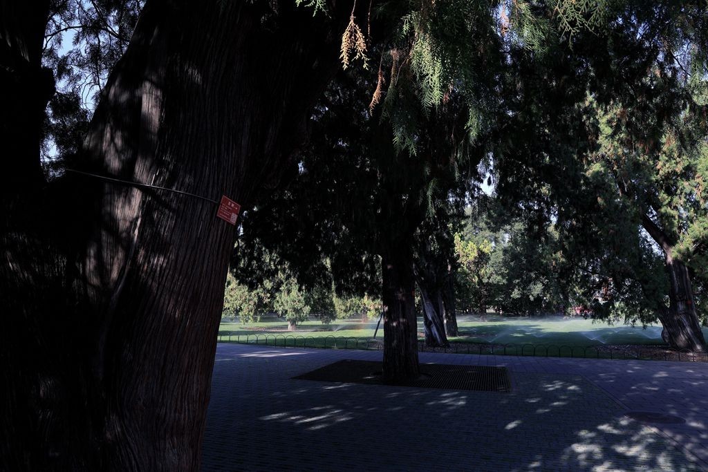 天高云淡逛天坛