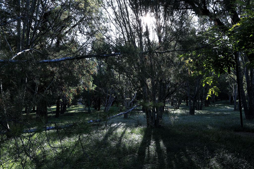 天高云淡逛天坛