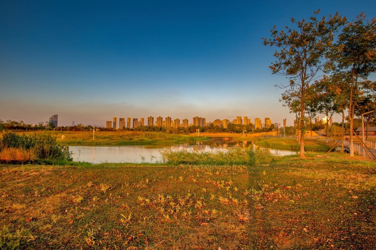 洋湖湿地公园 16