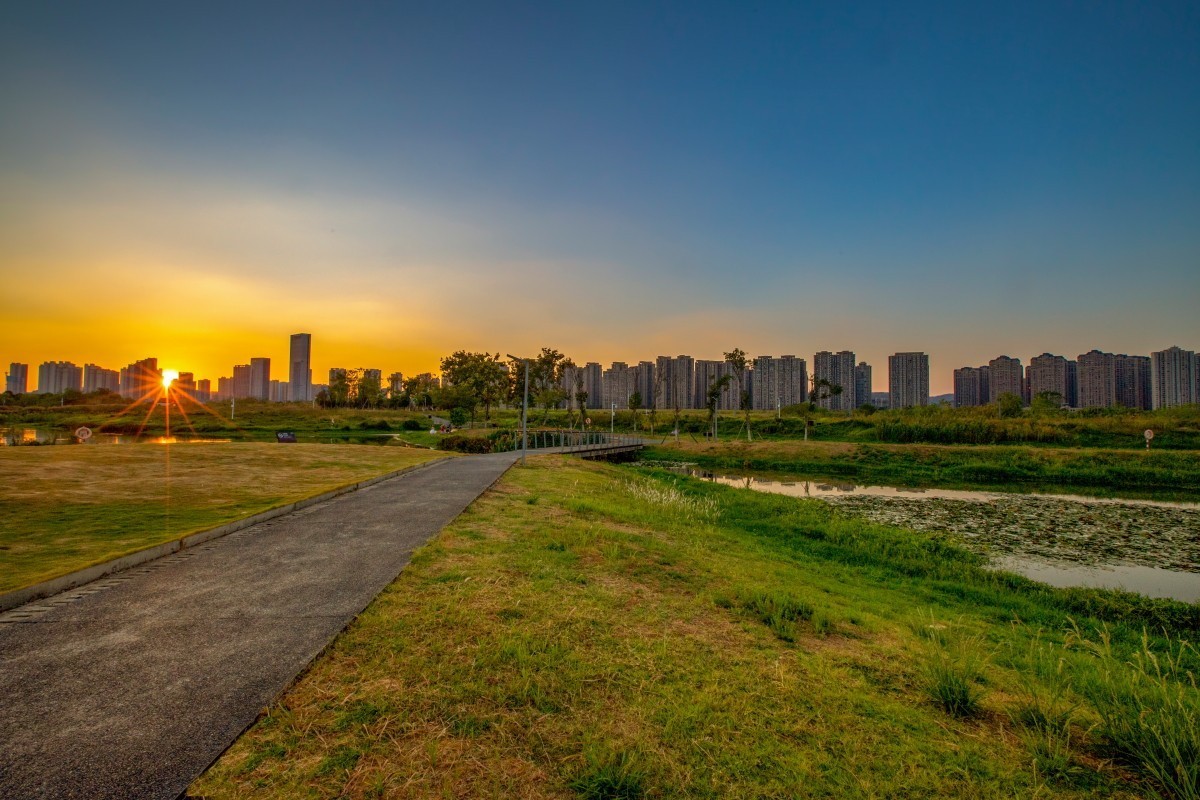 洋湖湿地公园 16