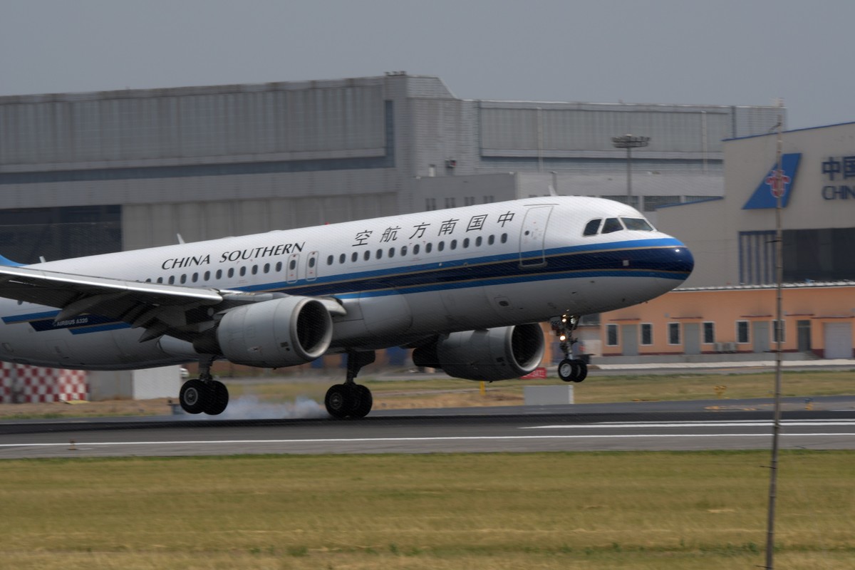 老片一组——打铁鸟