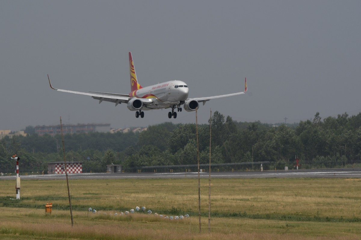 老片一组——打铁鸟