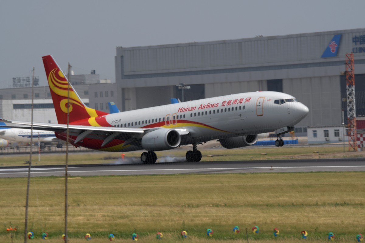 老片一组——打铁鸟