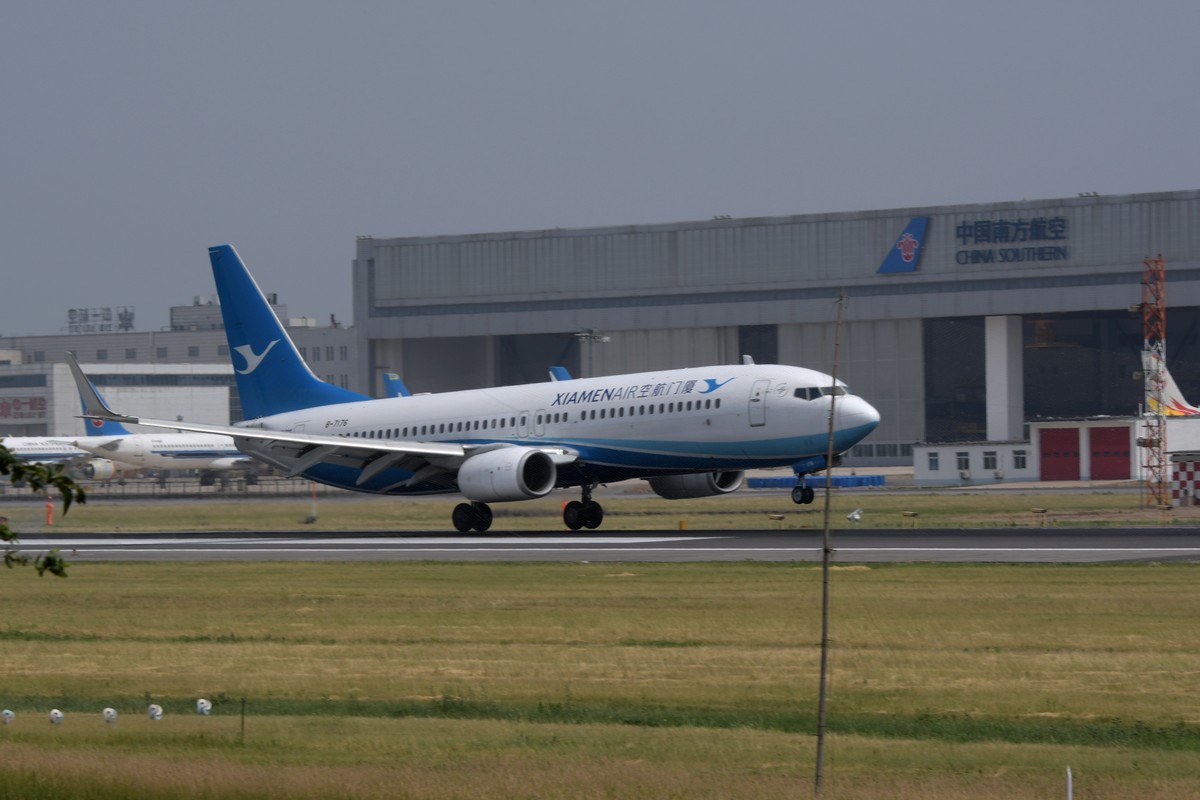 老片一组——打铁鸟