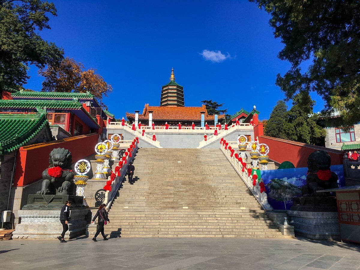 2023年-西山八大处游拍-125