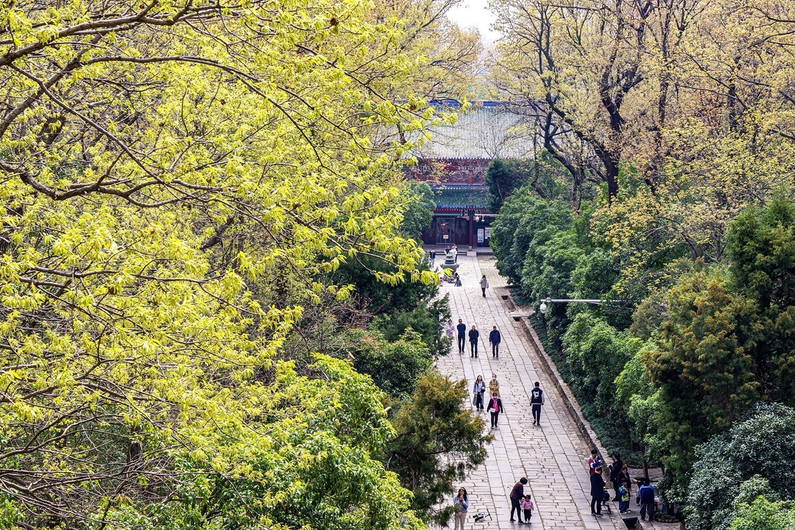 南京--探访灵谷寺【4】续完