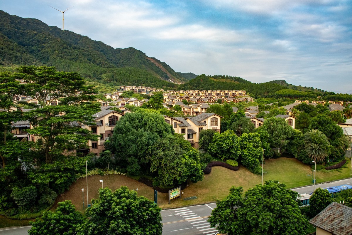 佛岗碧桂园（一）