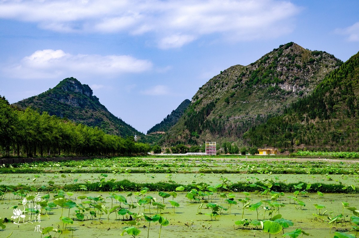 加油之城，美美安龙。今日立夏、荷花赛道上徒步随拍。