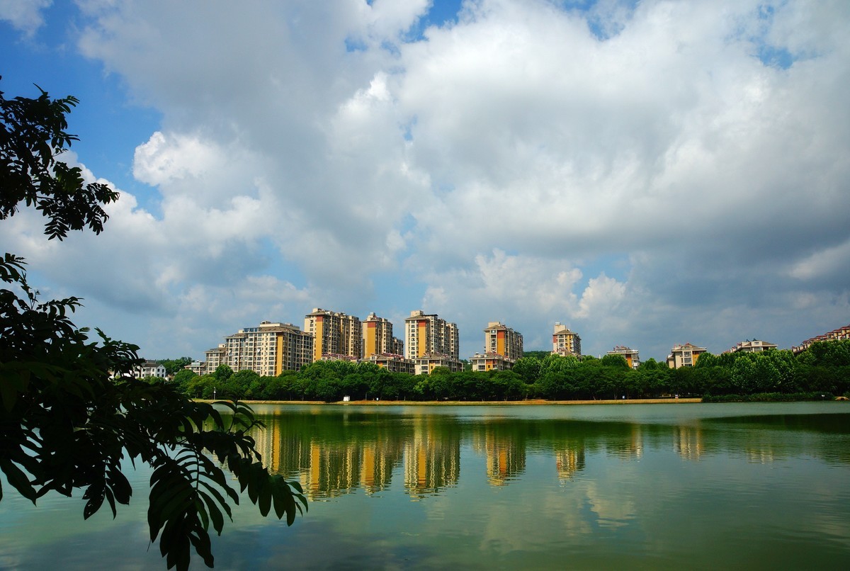 夏风阵阵云飘忽