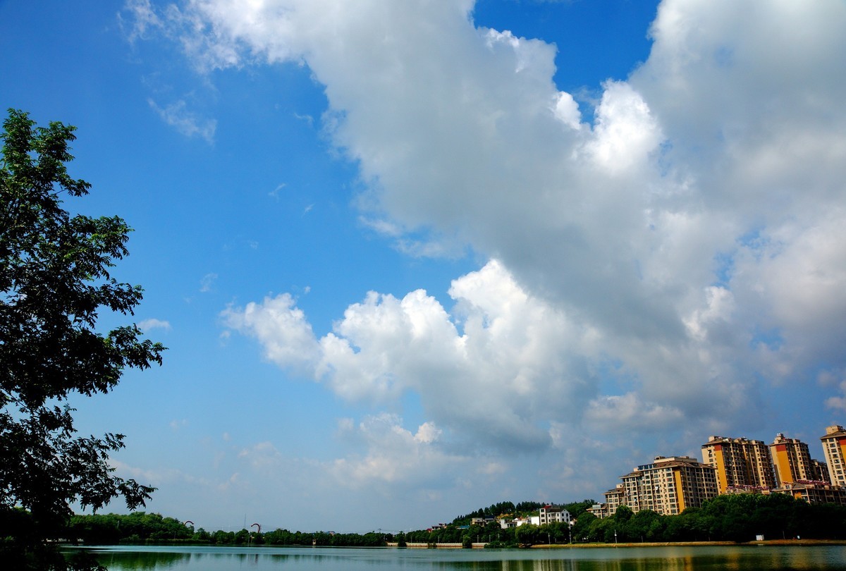 夏风阵阵云飘忽