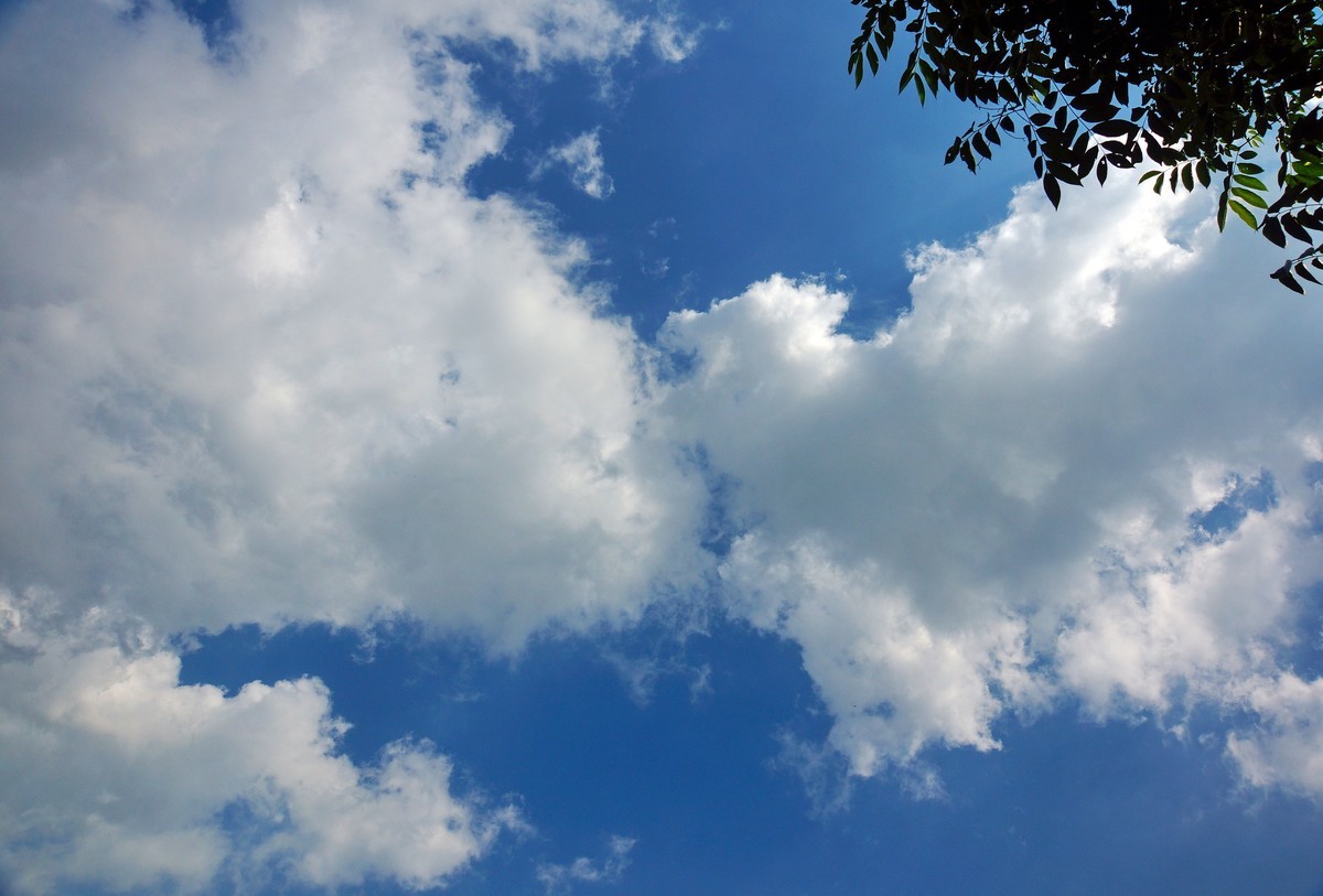 夏风阵阵云飘忽