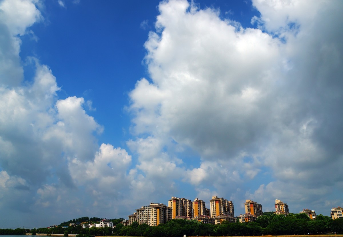 夏风阵阵云飘忽