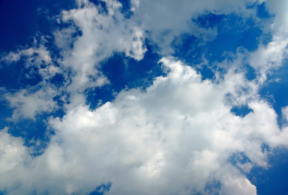 夏风阵阵云飘忽