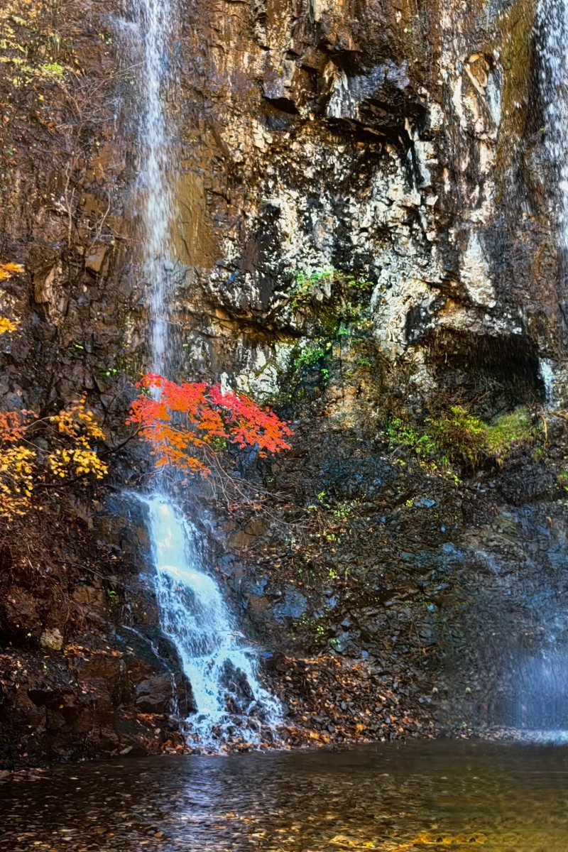 外出随拍（续191）.