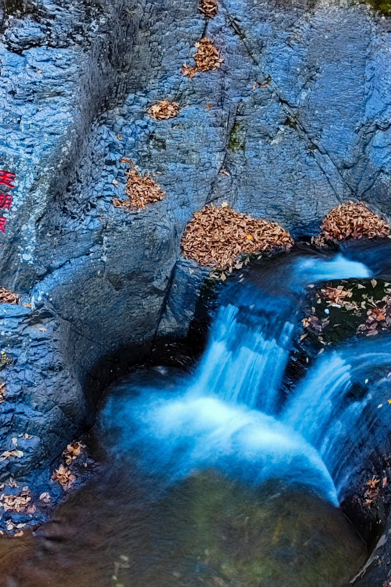 外出随拍（续191）.