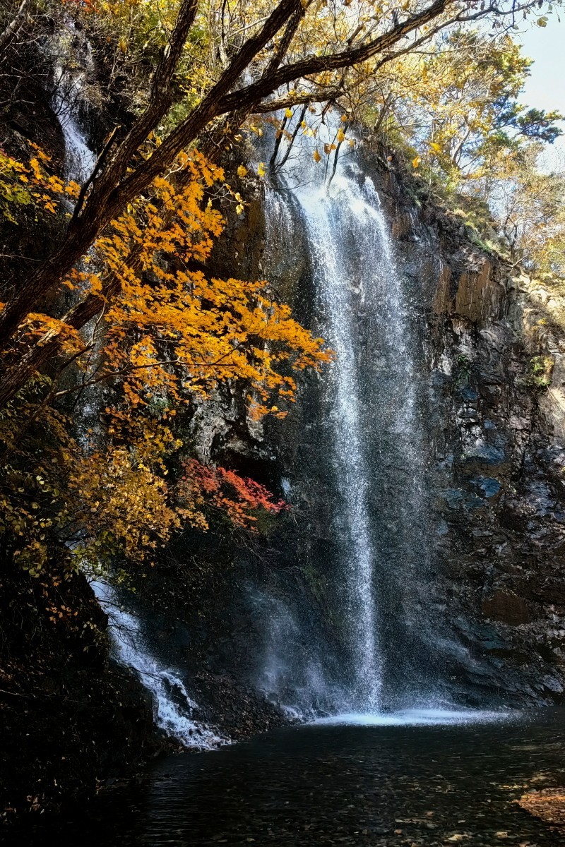 外出随拍（续191）.