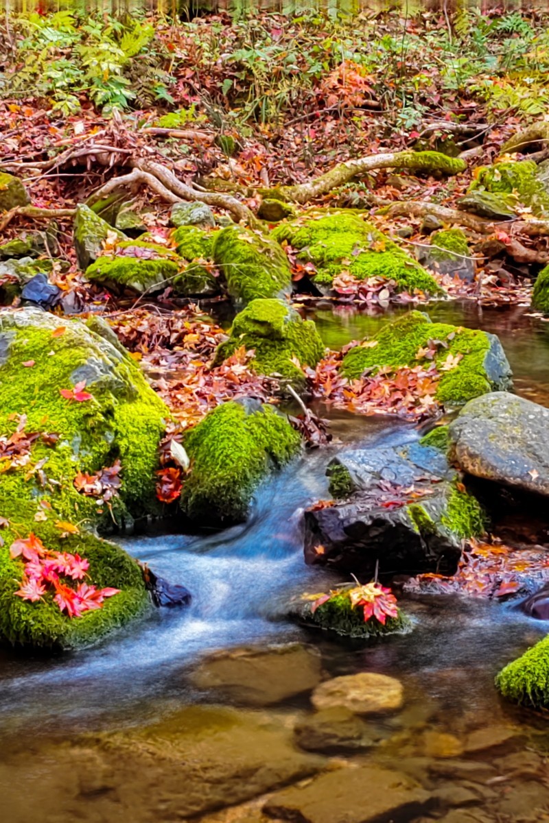 外出随拍（续191）.