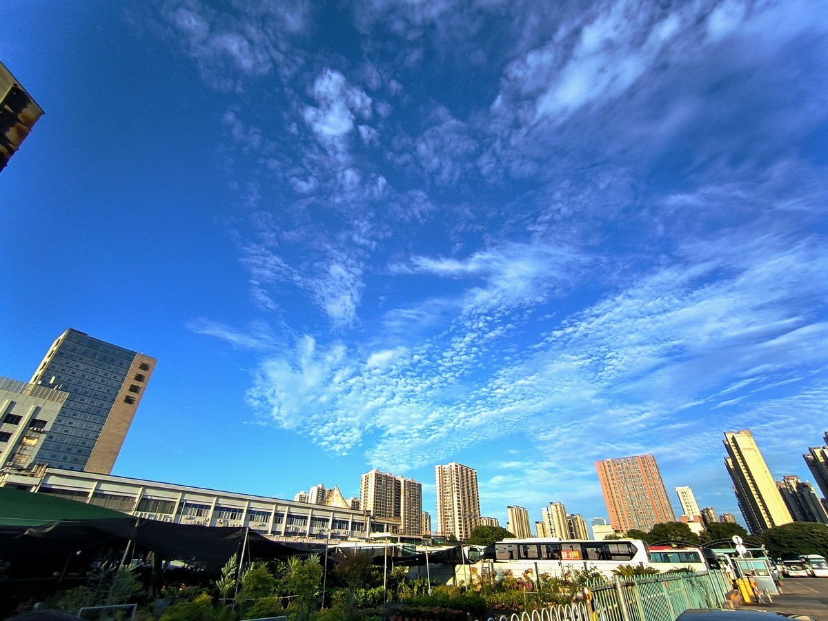 漫步星城 走街串巷（478）保持最佳状态