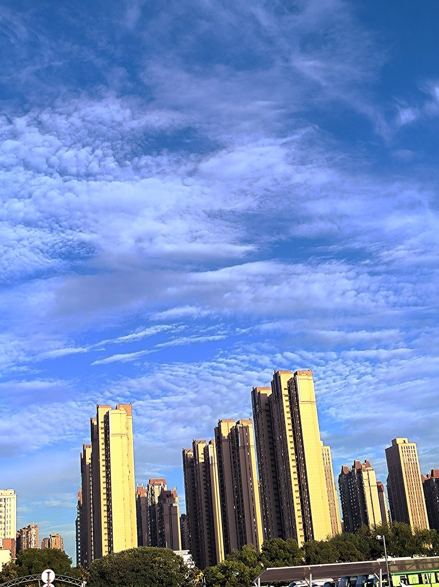 漫步星城 走街串巷（478）保持最佳状态