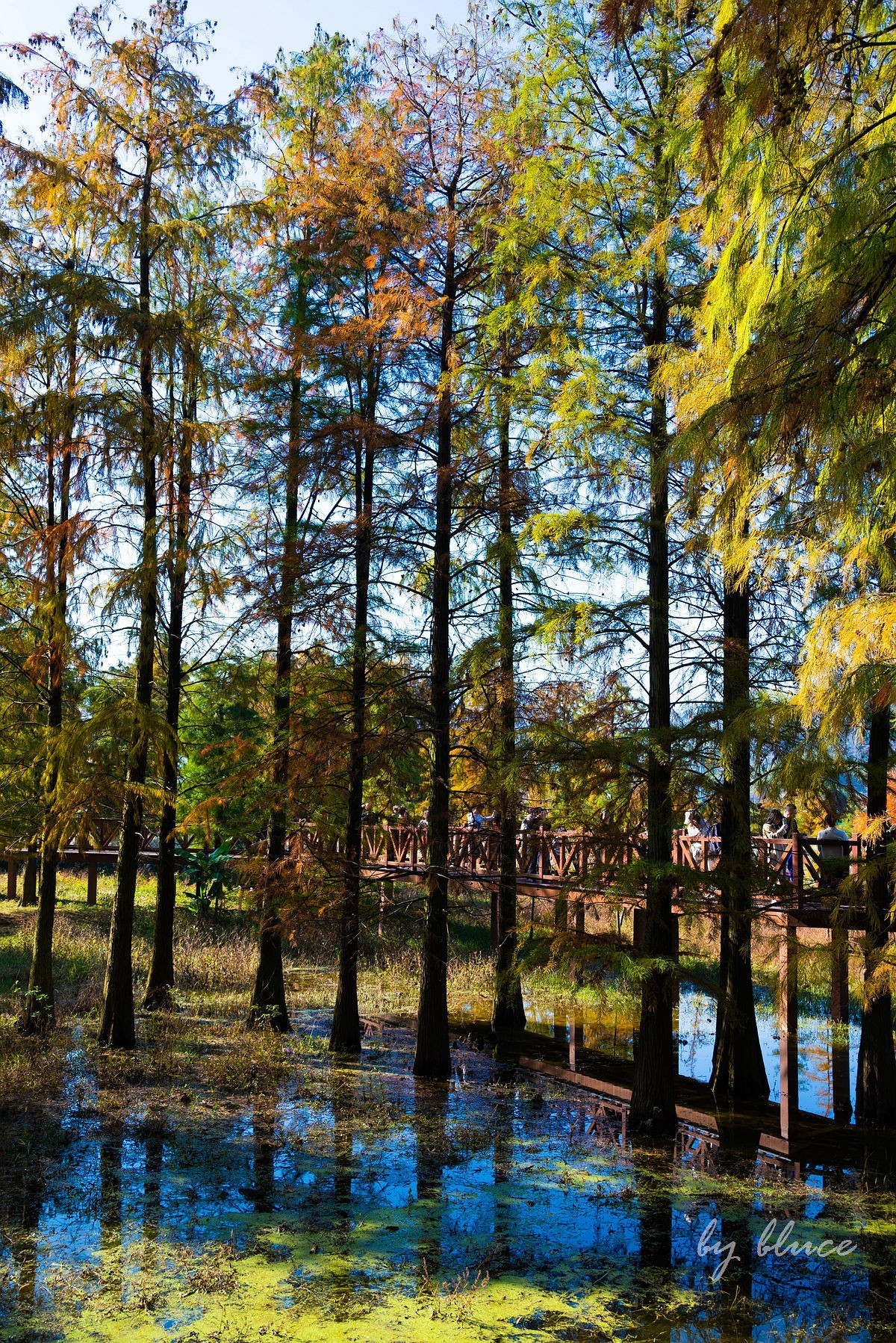 冬日四明湖【下】