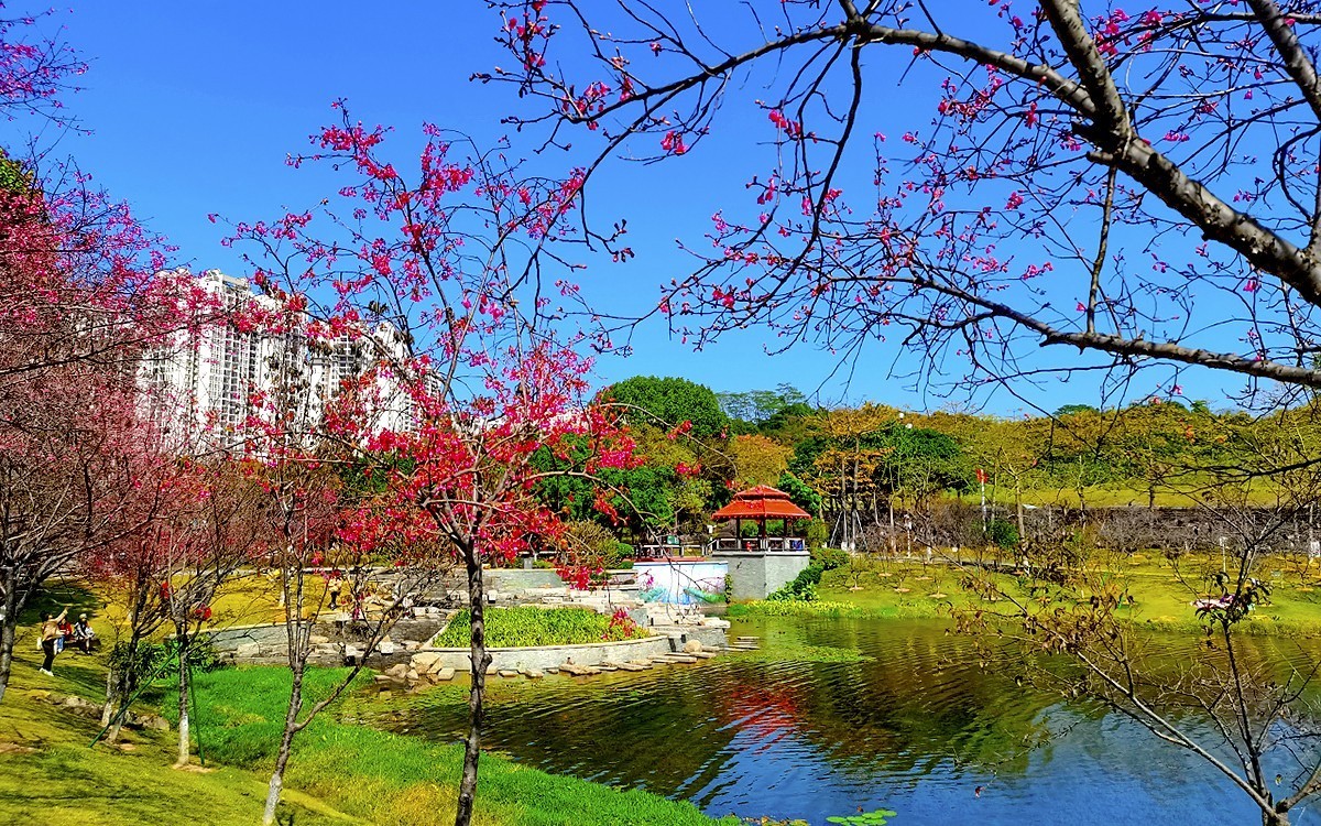 23085 ─ 春游创业公园（完）