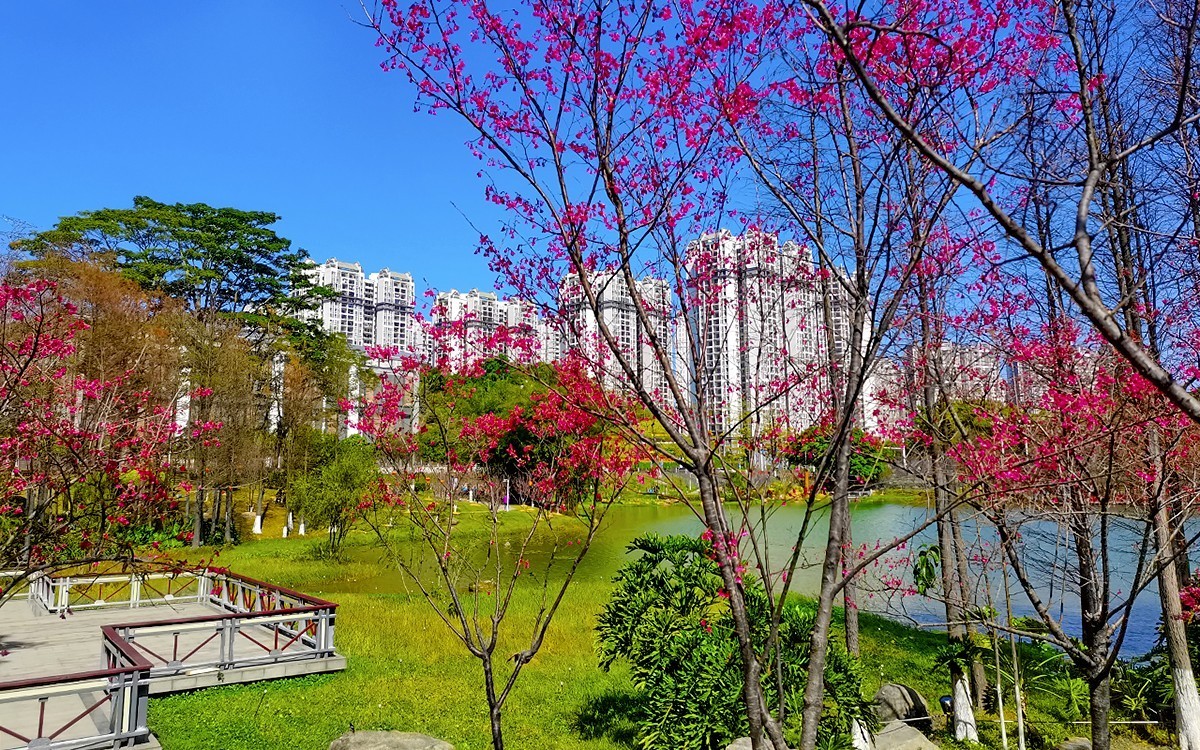 23085 ─ 春游创业公园（完）