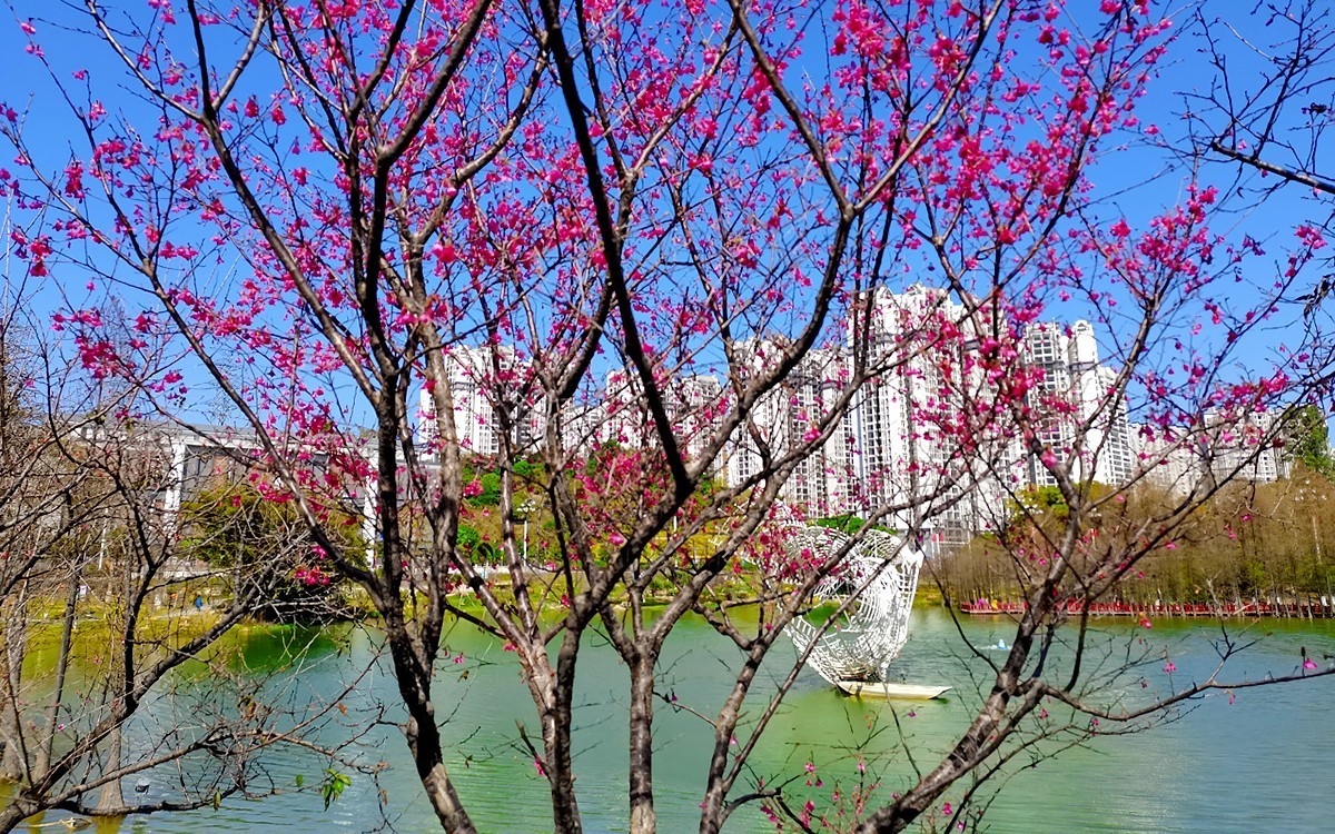 23085 ─ 春游创业公园（完）