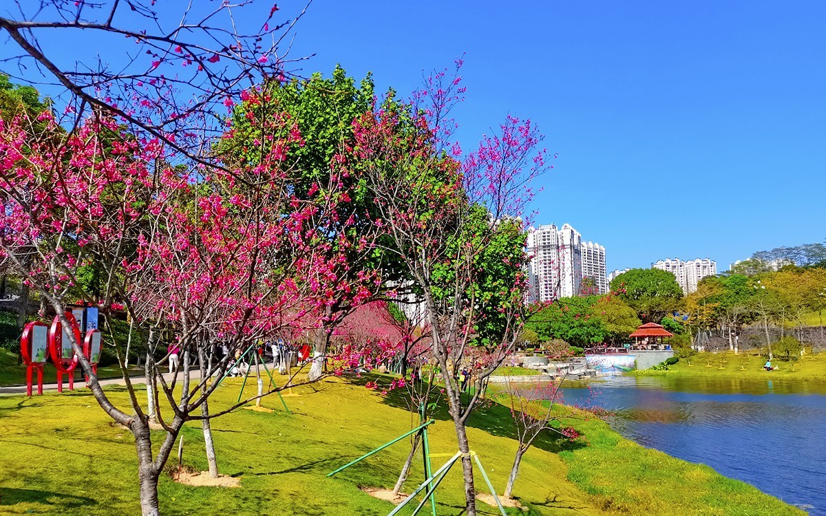 23085 ─ 春游创业公园（完）