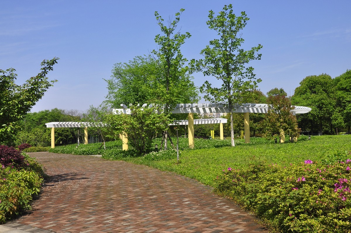 鳳鳴湖溼地公園