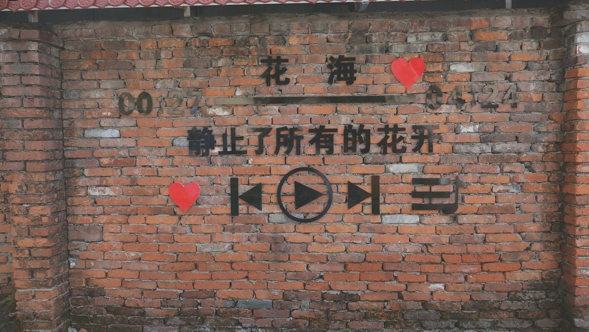 武汉映像---汉阳车前花街掠影！