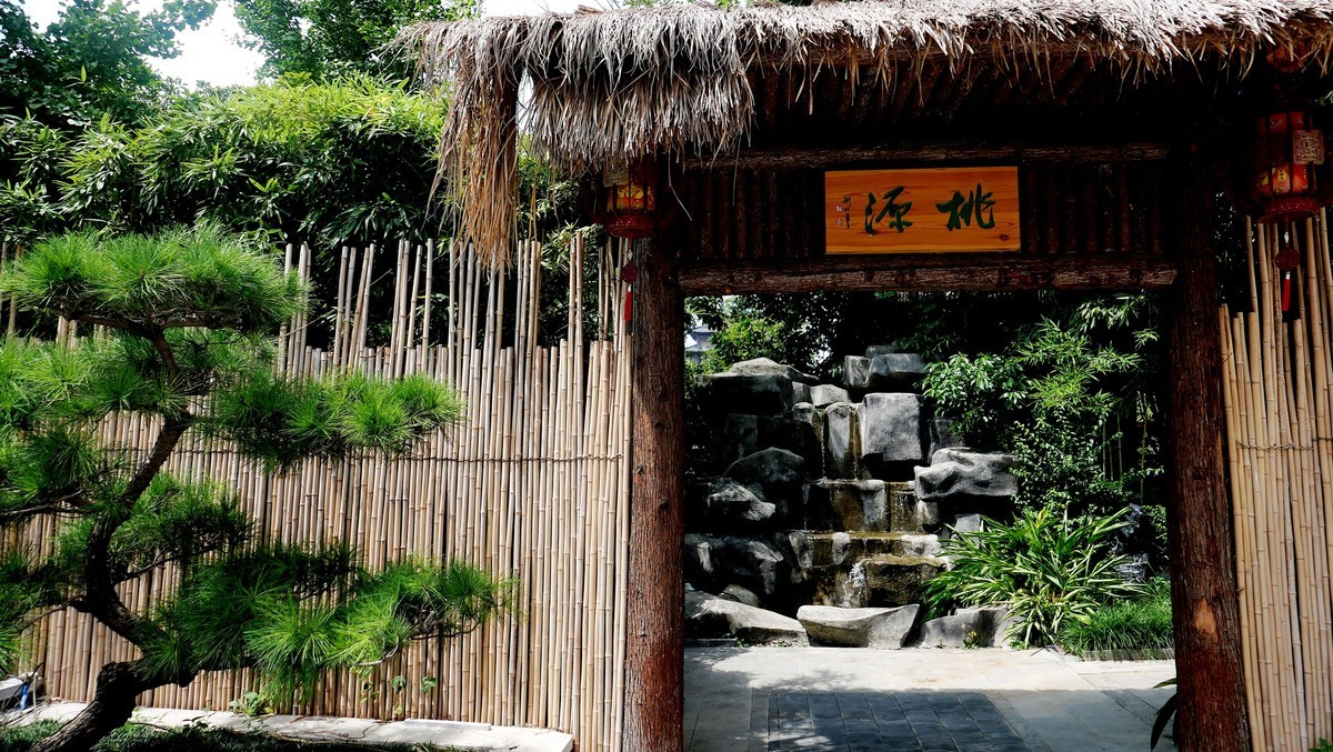 武汉映像---汉阳车前花街掠影！