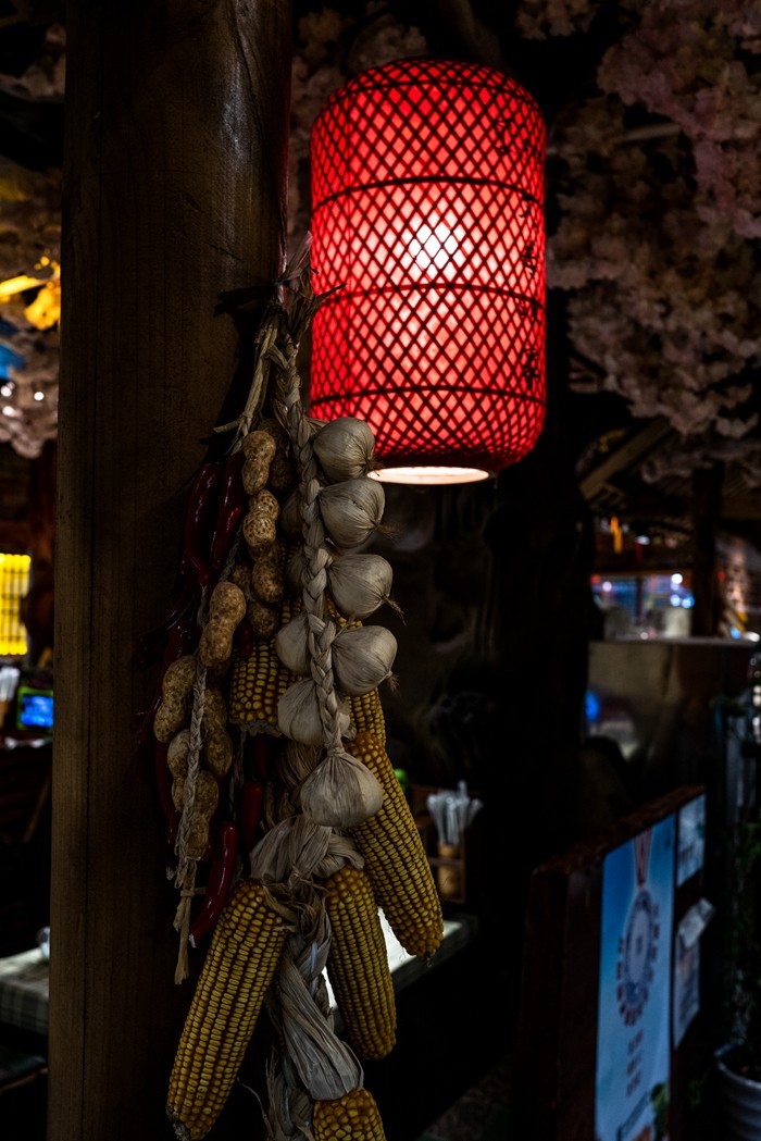 Lecia Q2 ( 湘菜馆随拍 )