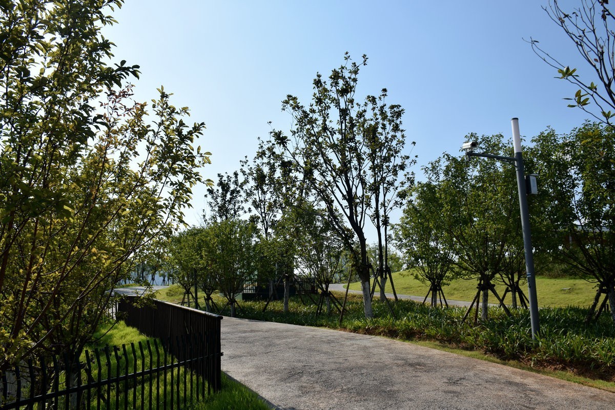 漫步星城 走街串巷（363）女神公园