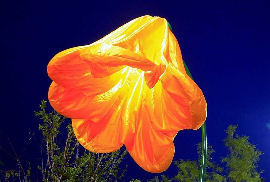 《不老松：纪实摄影》大美沧州系列報道：南川楼夜景！ (3)头回见到这能张能合的路灯！