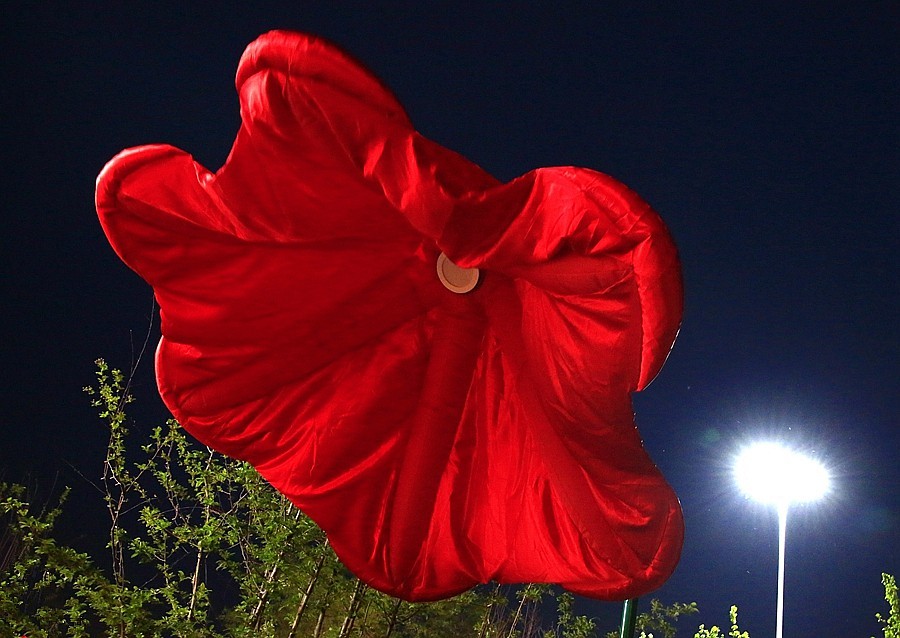 《不老松：纪实摄影》大美沧州系列報道：南川楼夜景！ (3)头回见到这能张能合的路灯！