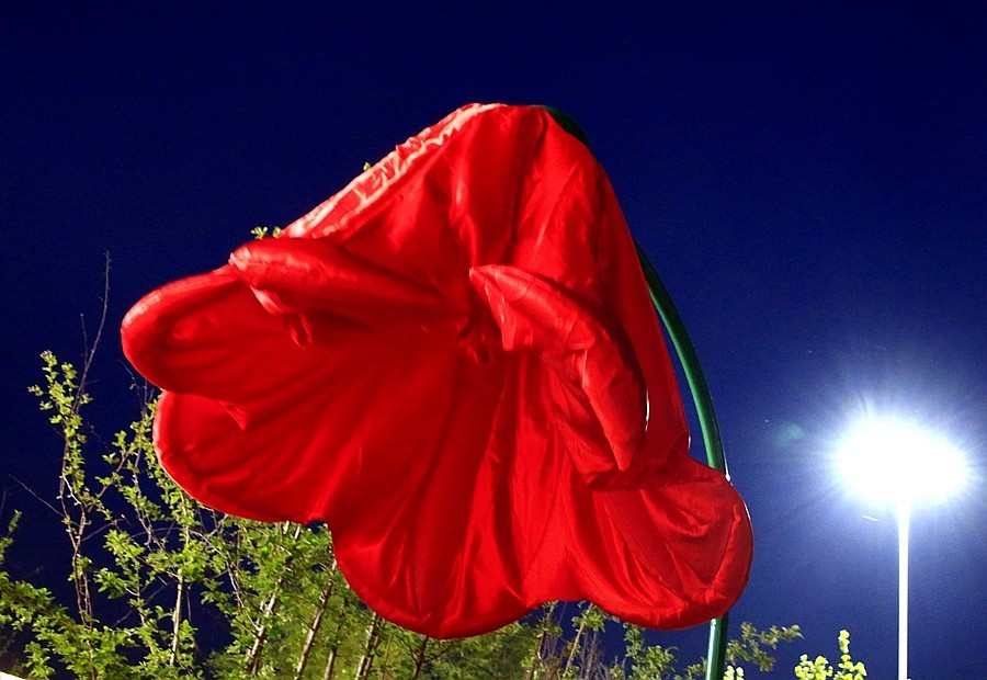 《不老松：纪实摄影》大美沧州系列報道：南川楼夜景！ (3)头回见到这能张能合的路灯！