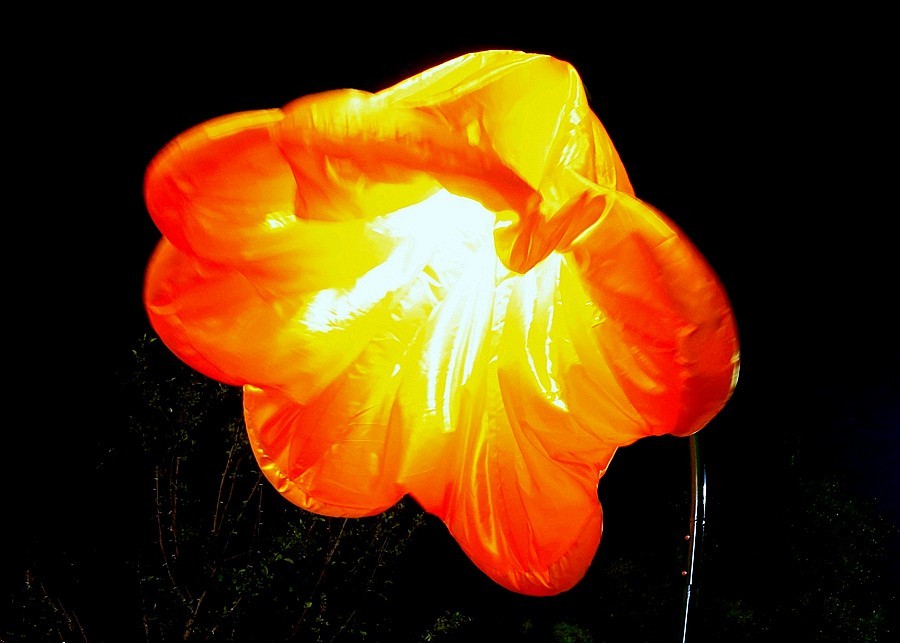 《不老松：纪实摄影》大美沧州系列報道：南川楼夜景！ (3)头回见到这能张能合的路灯！