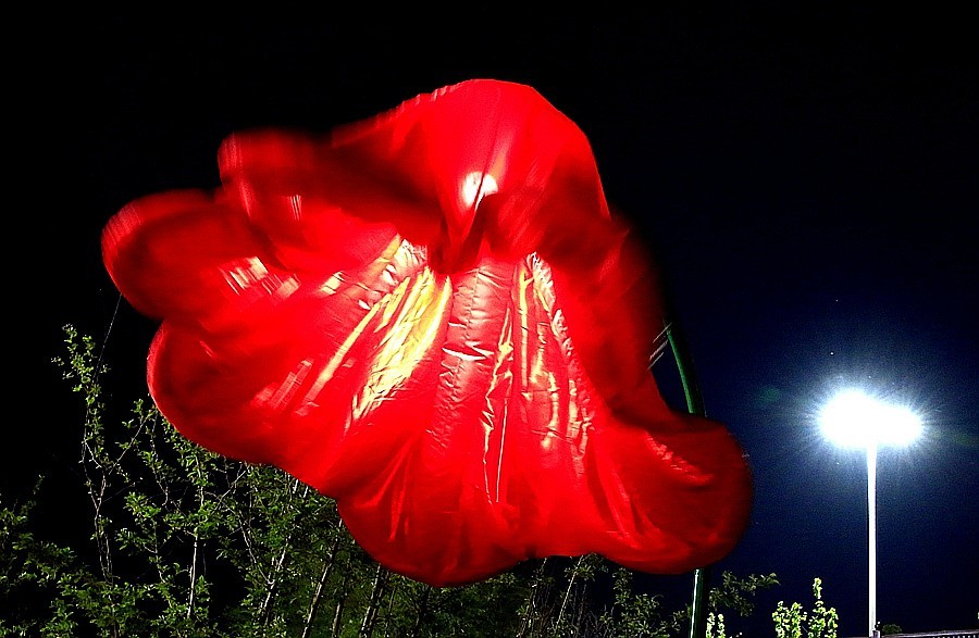 《不老松：纪实摄影》大美沧州系列報道：南川楼夜景！ (3)头回见到这能张能合的路灯！