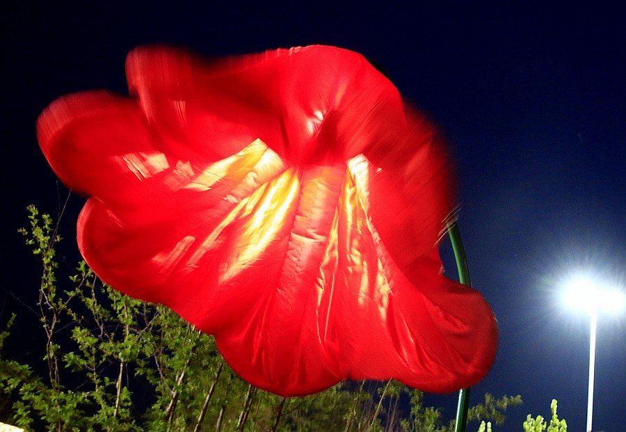 《不老松：纪实摄影》大美沧州系列報道：南川楼夜景！ (3)头回见到这能张能合的路灯！