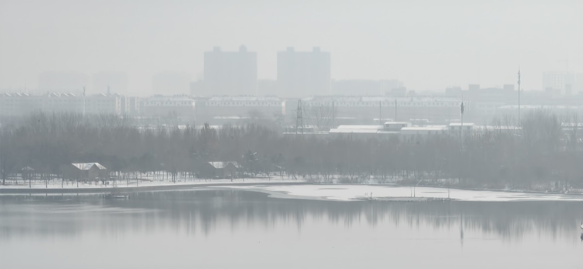 宅家随手拍（手机版）