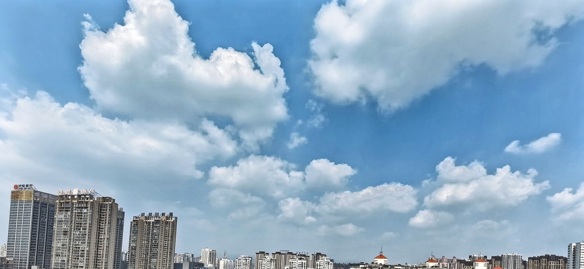 宅家随手拍（手机版）